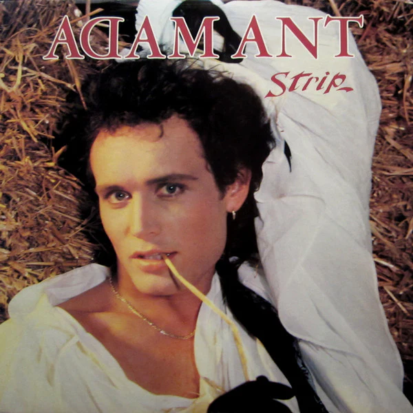 Adam Ant - Strip (LP) (Near Mint (NM or M-))