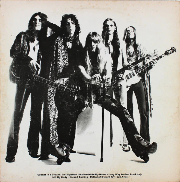 Alice Cooper - Love It To Death (LP) (Very Good Plus (VG+)) - Image 3