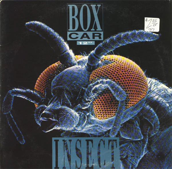 Boxcar - Insect (12") (Very Good Plus (VG+))