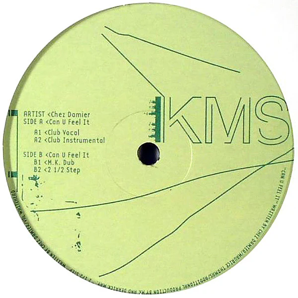 Chez Damier - Can U Feel It (12") (Very Good Plus (VG+))