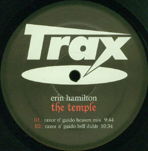 Erin Hamilton - The Temple (12") (Very Good Plus (VG+)) - Image 4