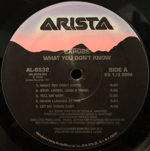 Exposé - What You Don't Know (LP) (Near Mint (NM or M-))