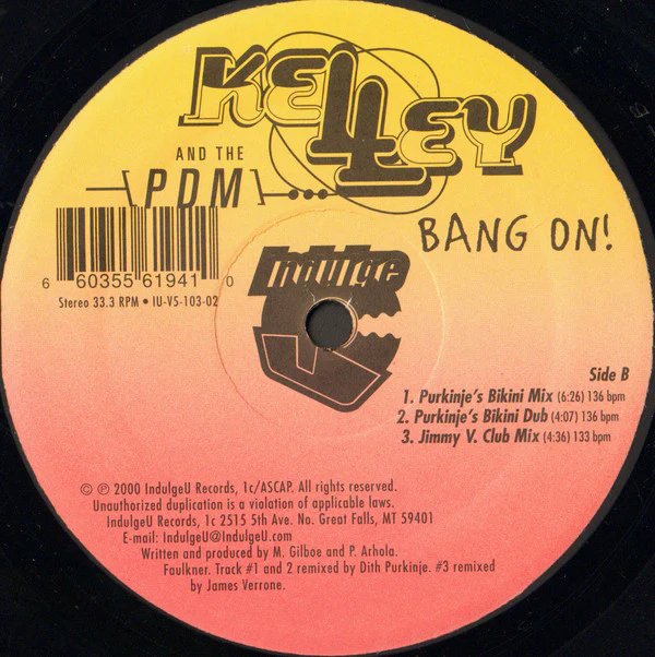 Kelley And The PDM - Bang On! (12") (Near Mint (NM or M-)) - Image 2