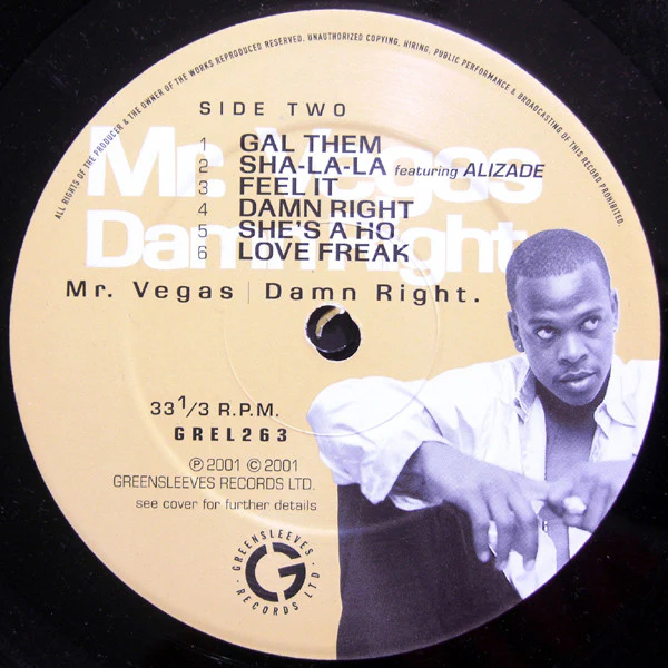Mr. Vegas - Damn Right (LP) (Near Mint (NM or M-)) - Image 4