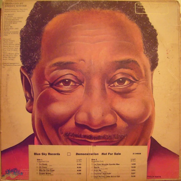 Muddy Waters - I'm Ready (LP) (Near Mint (NM or M-)) - Image 5