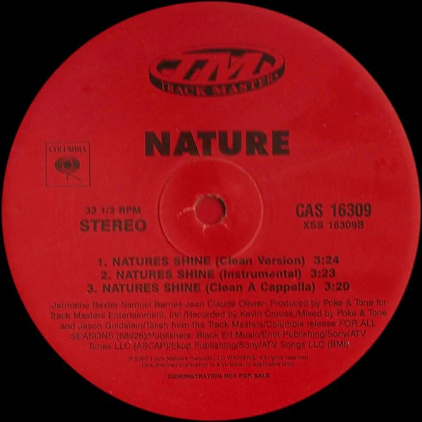 Nature - S*** Like This / Natures Shine (12") (Very Good Plus (VG+)) - Image 2