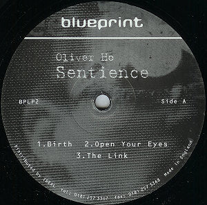 Oliver Ho - Sentience (2x12") (Very Good (VG)) - Image 2