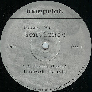 Oliver Ho - Sentience (2x12") (Very Good (VG)) - Image 4