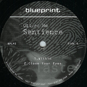 Oliver Ho - Sentience (2x12") (Very Good (VG)) - Image 5