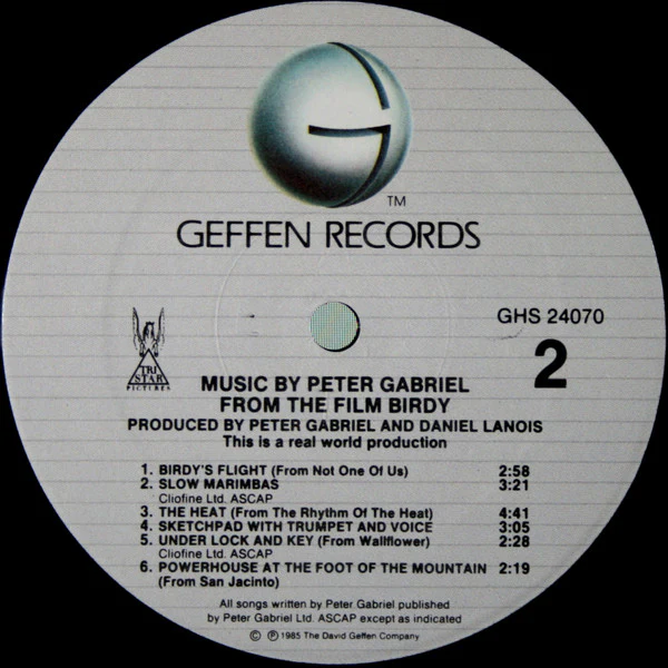 Peter Gabriel - Birdy (LP) (Very Good Plus (VG+)) - Image 4