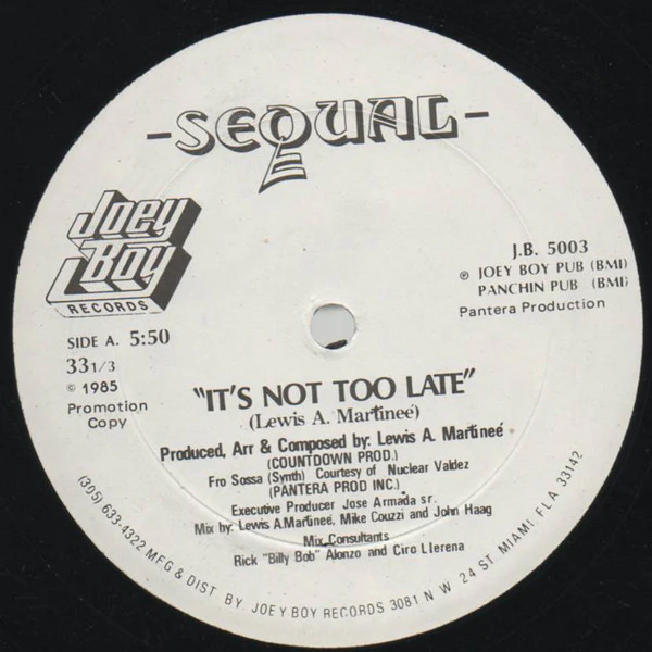 Sequal - It's Not Too Late (12") (Near Mint (NM or M-))