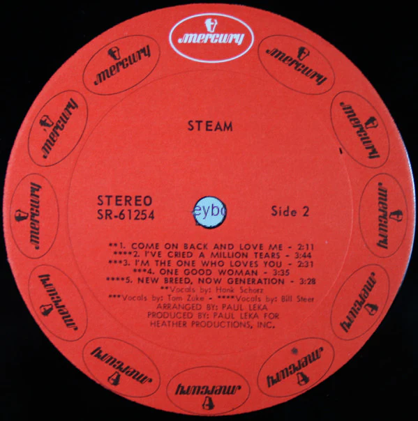 Steam - Steam (LP) (Very Good Plus (VG+)) - Image 4