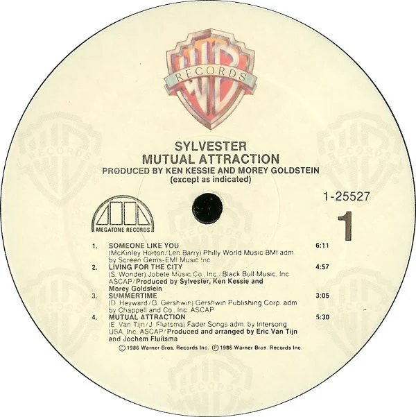 Sylvester - Mutual Attraction (LP) (Near Mint (NM or M-)) - Image 3