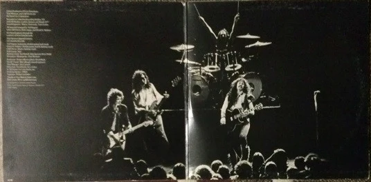 Ted Nugent - Cat Scratch Fever (LP) (Very Good Plus (VG+)) - Image 3
