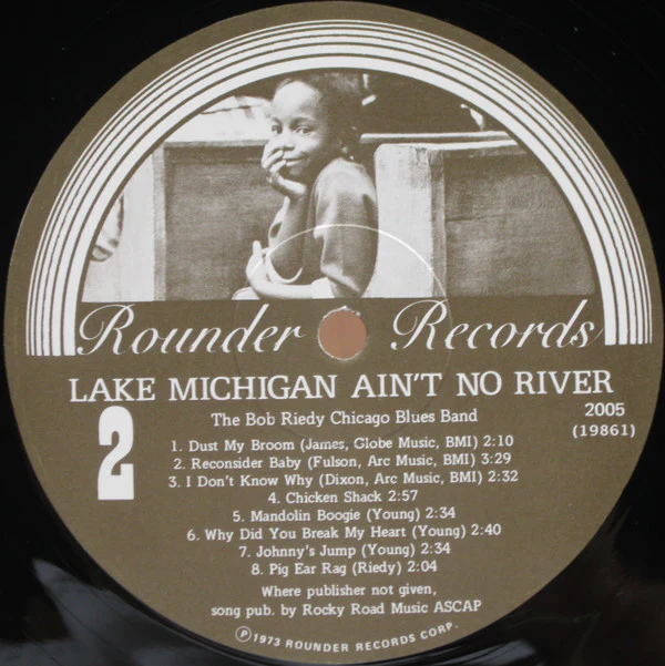 The Bob Riedy Chicago Blues Band - Lake Michigan Ain't No River (LP) (Near Mint (NM or M-)) - Image 4