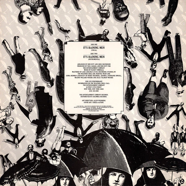 The Weather Girls - It's Raining Men (12") (Near Mint (NM or M-)) - Image 2