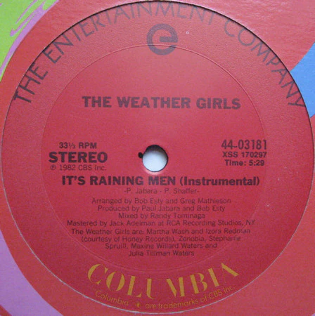 The Weather Girls - It's Raining Men (12") (Near Mint (NM or M-)) - Image 4