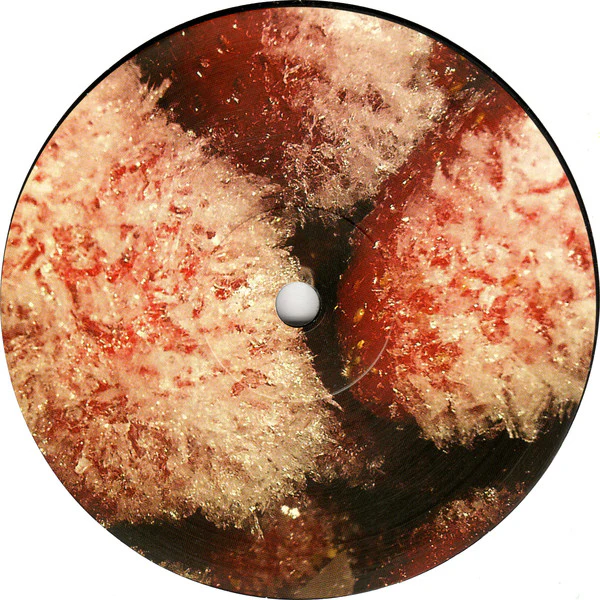 Thee Oh Sees - Floating Coffin (LP) (Very Good Plus (VG+)) - Image 4