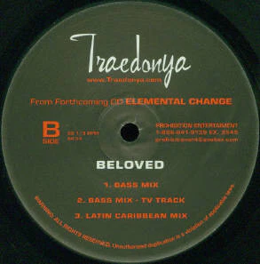 Traedonya - Beloved (12") (Mint (M)) - Image 2